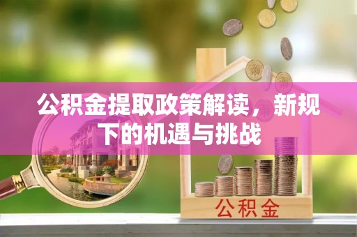 饶平公积金提取政策解读，新规下的机遇与挑战