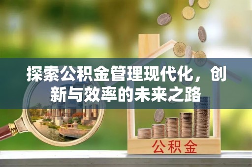 饶平探索公积金管理现代化，创新与效率的未来之路