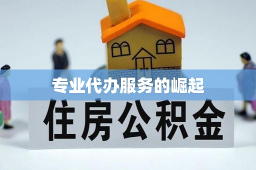 饶平专业代办服务的崛起