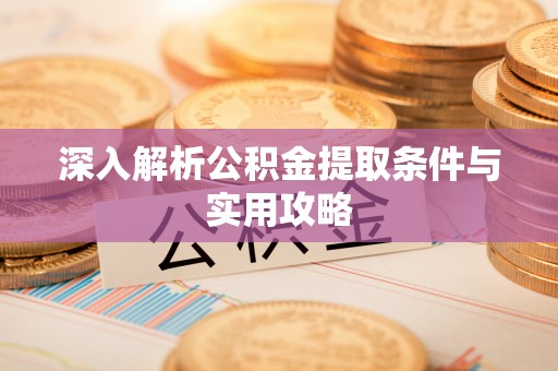 饶平深入解析公积金提取条件与实用攻略