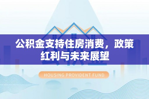 饶平公积金支持住房消费，政策红利与未来展望