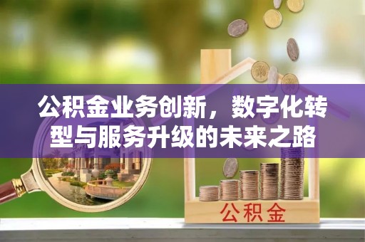 饶平公积金业务创新，数字化转型与服务升级的未来之路
