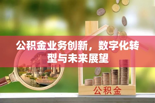 饶平公积金业务创新，数字化转型与未来展望