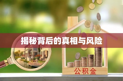 饶平揭秘背后的真相与风险