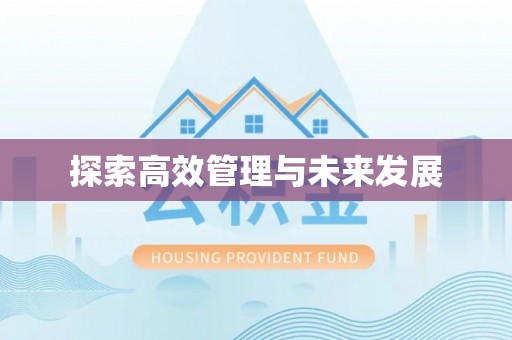 饶平探索高效管理与未来发展