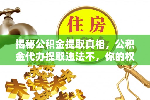 饶平揭秘公积金提取真相，公积金代办提取违法不，你的权益如何保障？