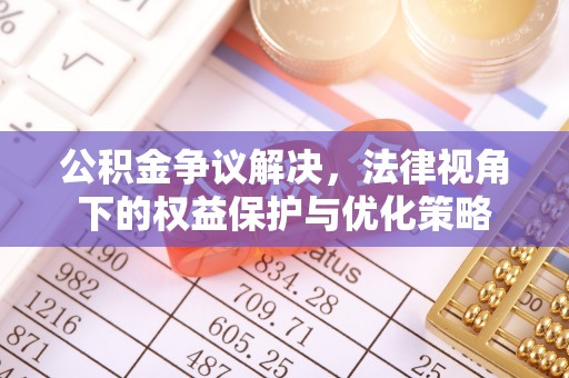 饶平公积金争议解决，法律视角下的权益保护与优化策略