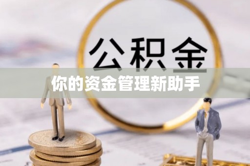 饶平你的资金管理新助手