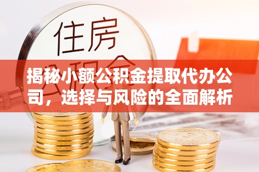 饶平揭秘小额公积金提取代办公司，选择与风险的全面解析