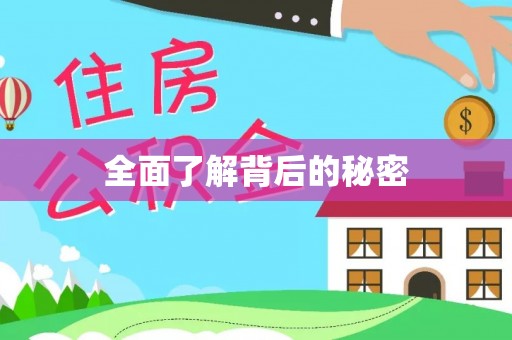 饶平全面了解背后的秘密