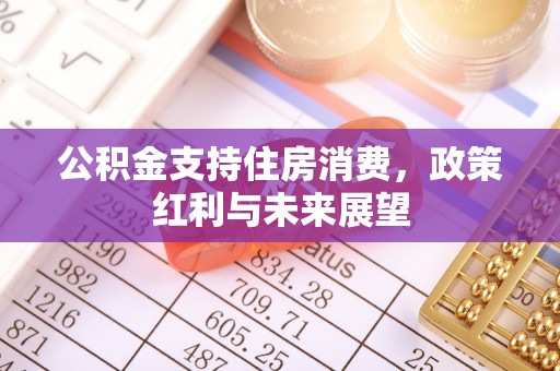 饶平公积金支持住房消费，政策红利与未来展望