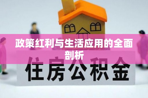 饶平政策红利与生活应用的全面剖析