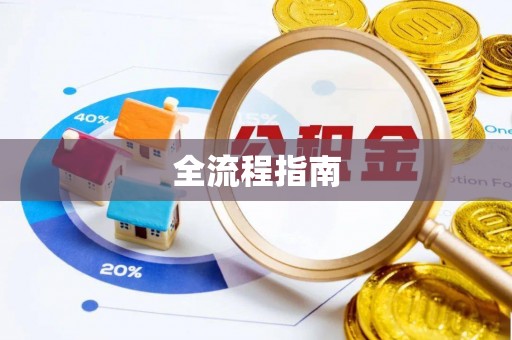 饶平全流程指南