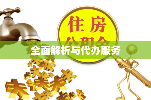 饶平全面解析与代办服务