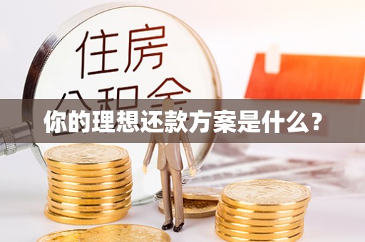 饶平你的理想还款方案是什么？