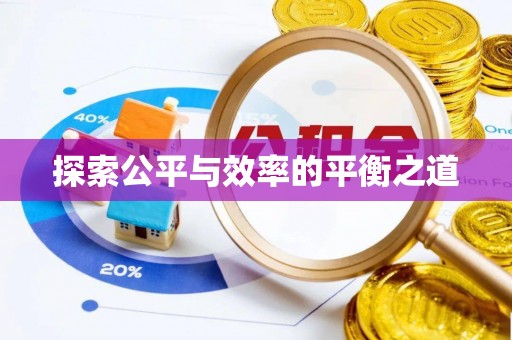 饶平探索公平与效率的平衡之道