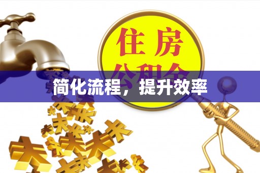 饶平简化流程，提升效率