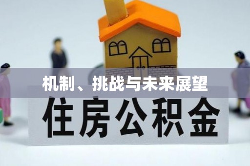 饶平机制、挑战与未来展望