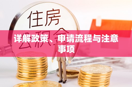 饶平详解政策、申请流程与注意事项