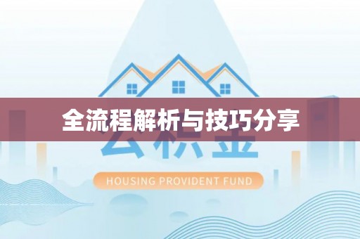 饶平全流程解析与技巧分享