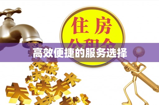 饶平高效便捷的服务选择