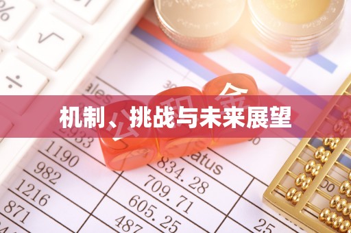 饶平机制、挑战与未来展望